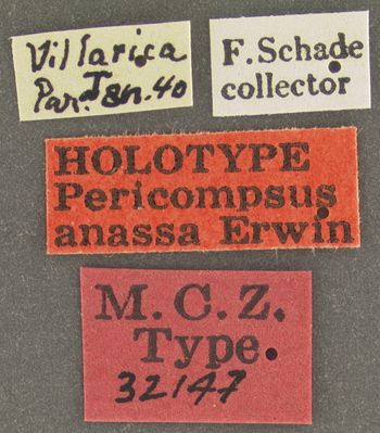 Media type: image;   Entomology 32147 Aspect: labels
